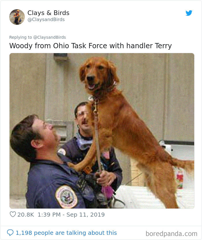 Person Honors The Dog Heroes Of 9/11 That Are Often Overlooked In A Beautifully Sad Twitter Thread Person Honors The Dog Heroes Of 9/11 That Are Often Overlooked In A Beautifully Sad Twitter Thread