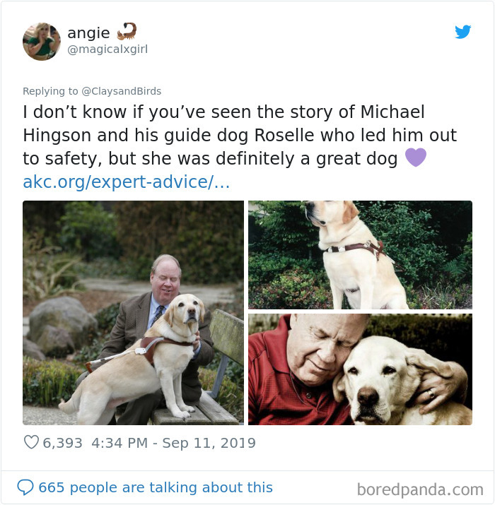 Person Honors The Dog Heroes Of 9/11 That Are Often Overlooked In A Beautifully Sad Twitter Thread Person Honors The Dog Heroes Of 9/11 That Are Often Overlooked In A Beautifully Sad Twitter Thread