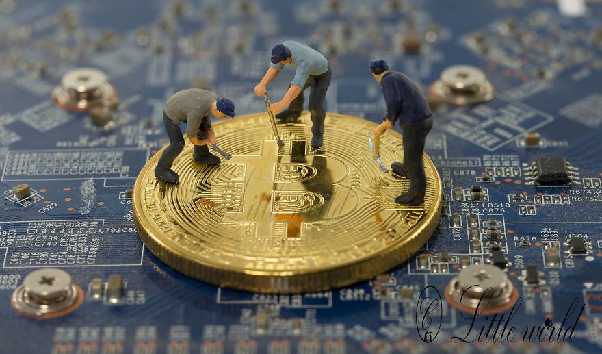 A New Serie Of Little World