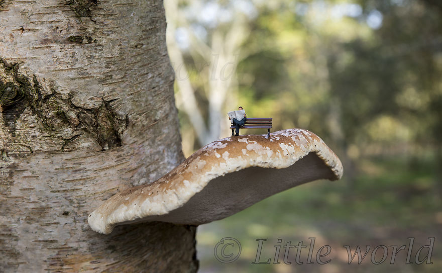 A New Serie Of Little World