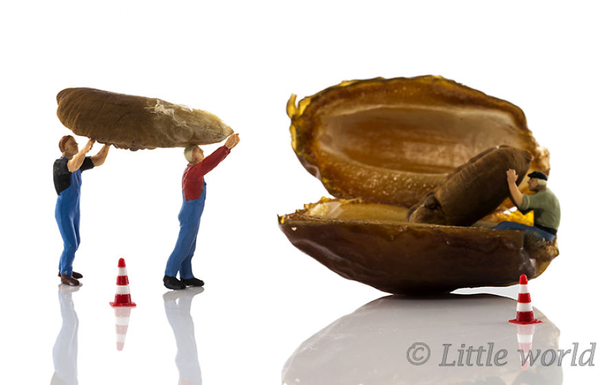 A New Serie Of Little World