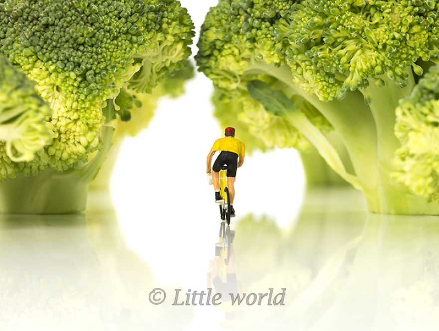 A New Serie Of Little World
