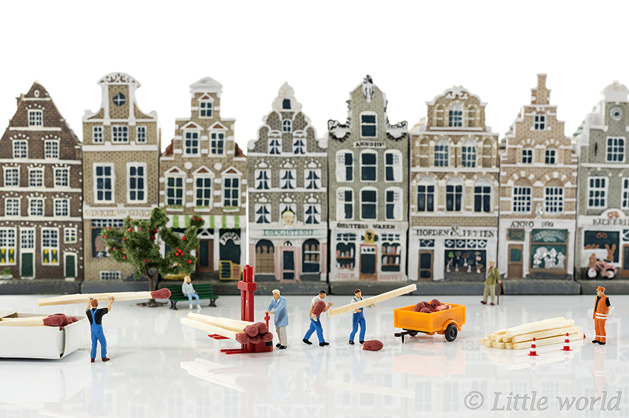 A New Serie Of Little World