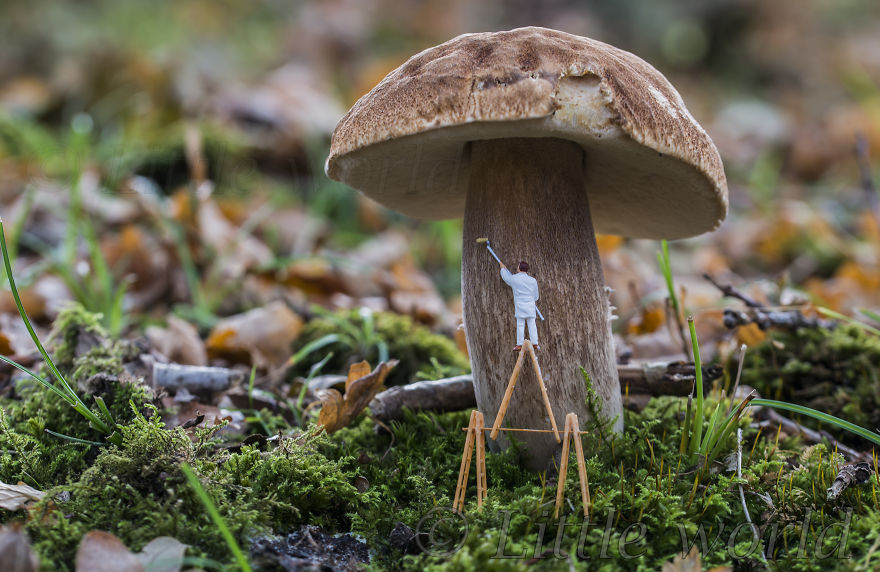 A New Serie Of Little World