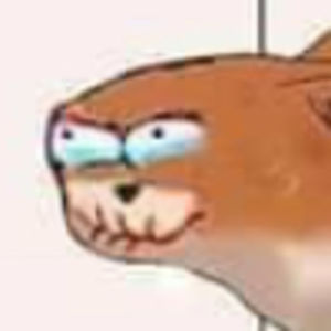 elinazhongmei avatar