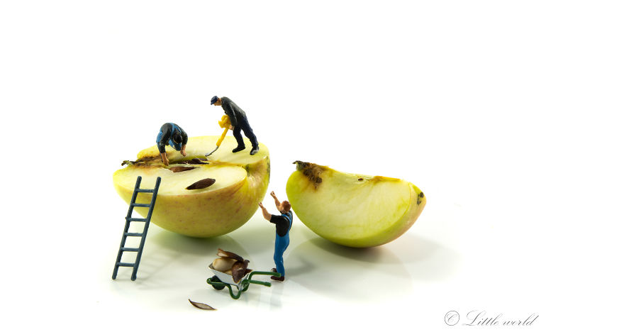 A New Serie Of Little World