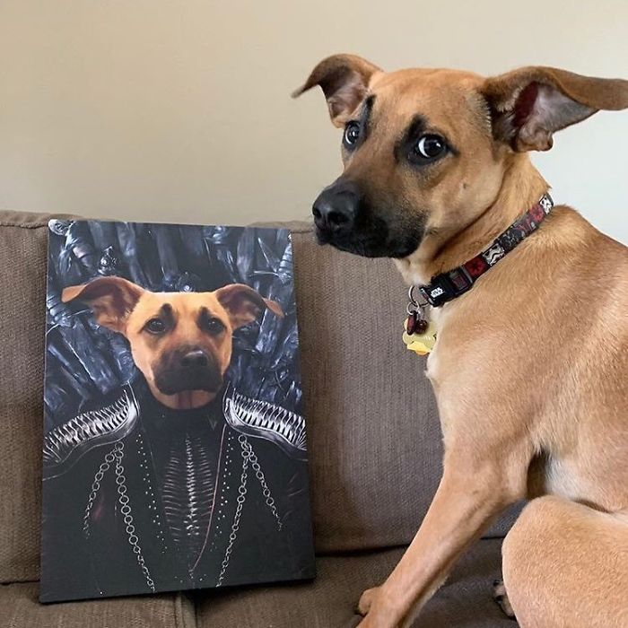 Custom Pet Portrait