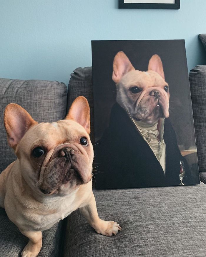 Custom Pet Portrait