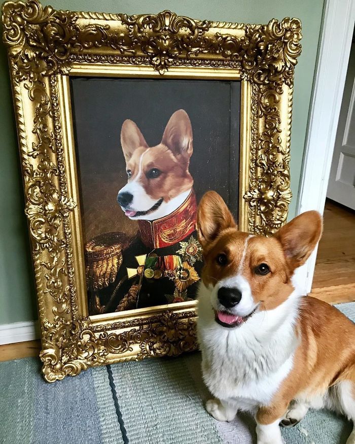 Custom Pet Portrait