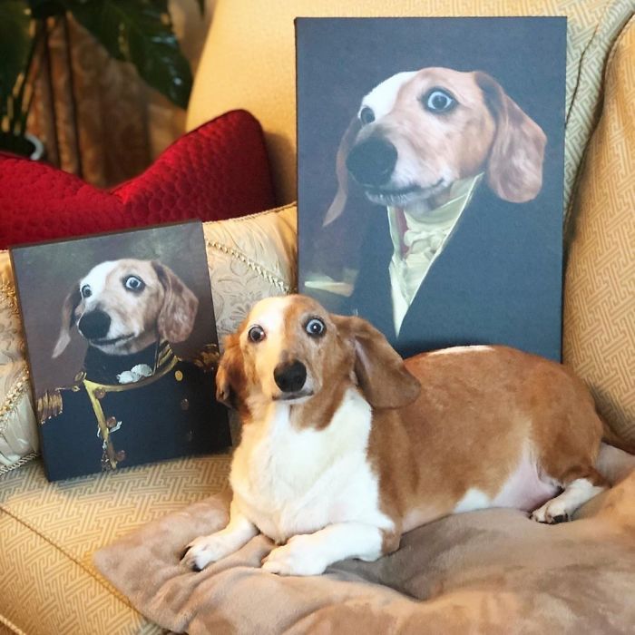 Custom Pet Portrait