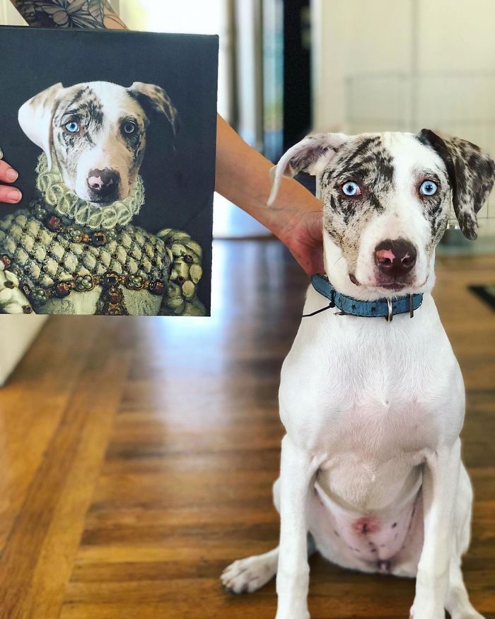 Custom Pet Portrait