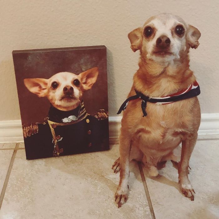 Custom Pet Portrait