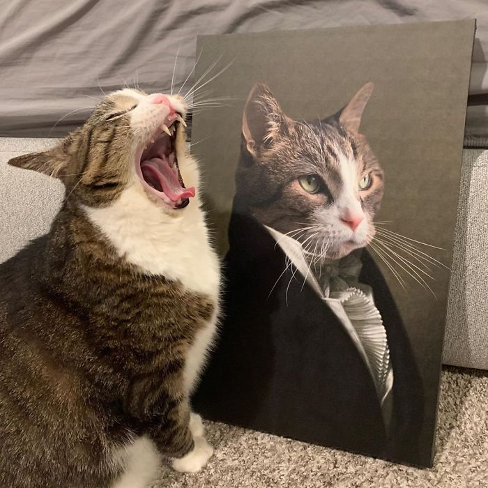 Custom Pet Portrait