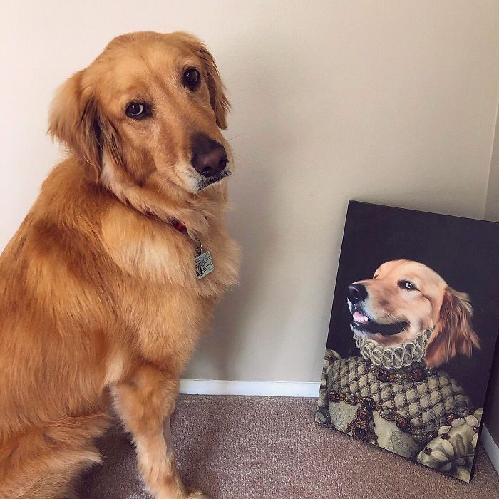 Custom Pet Portrait