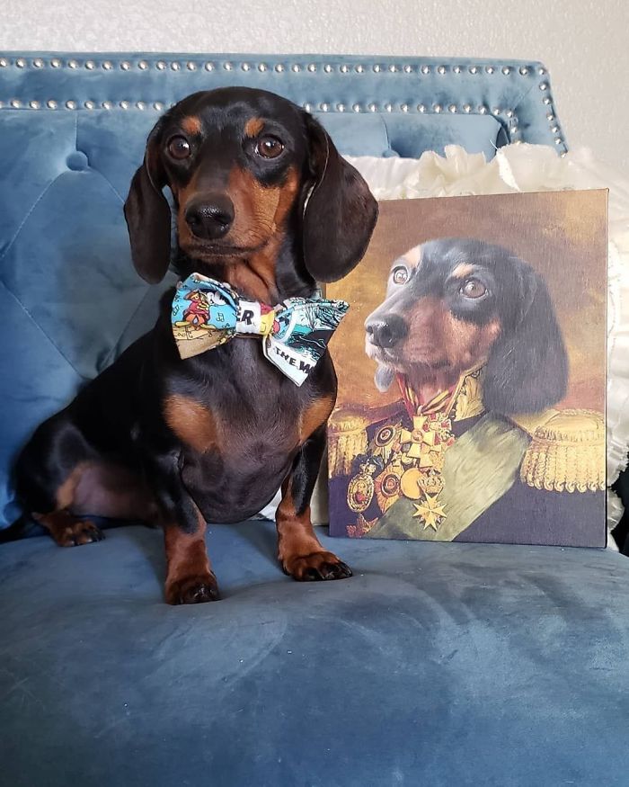 Custom Pet Portrait