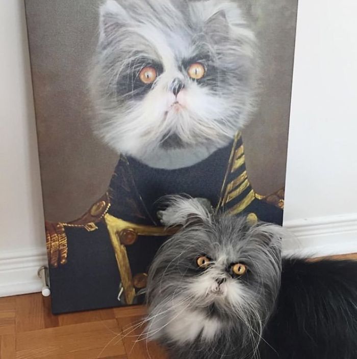 Custom Pet Portrait