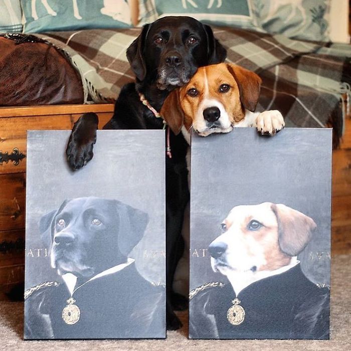 Custom Pet Portrait
