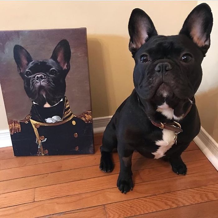 Custom Pet Portrait