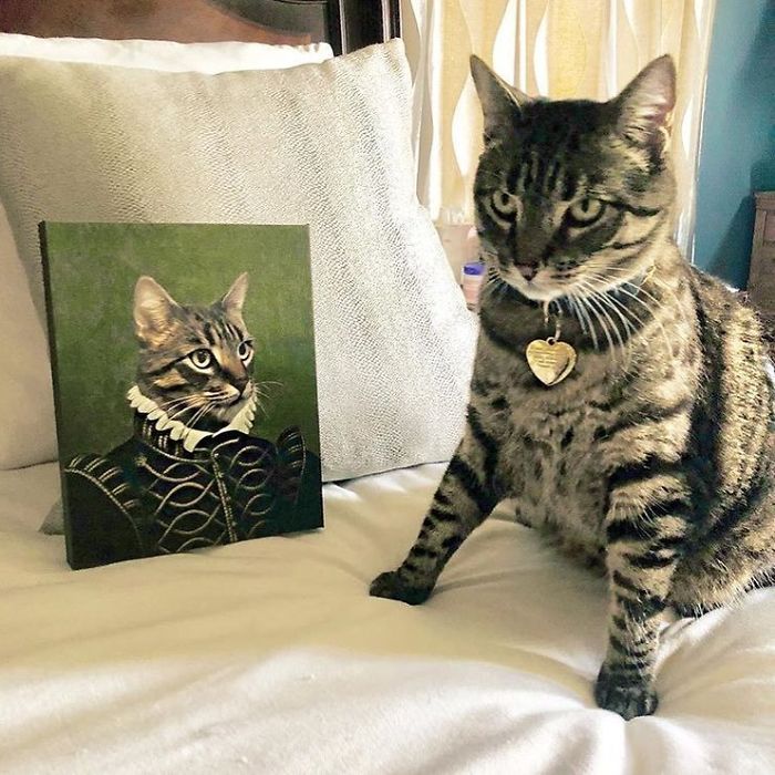 Custom Pet Portrait