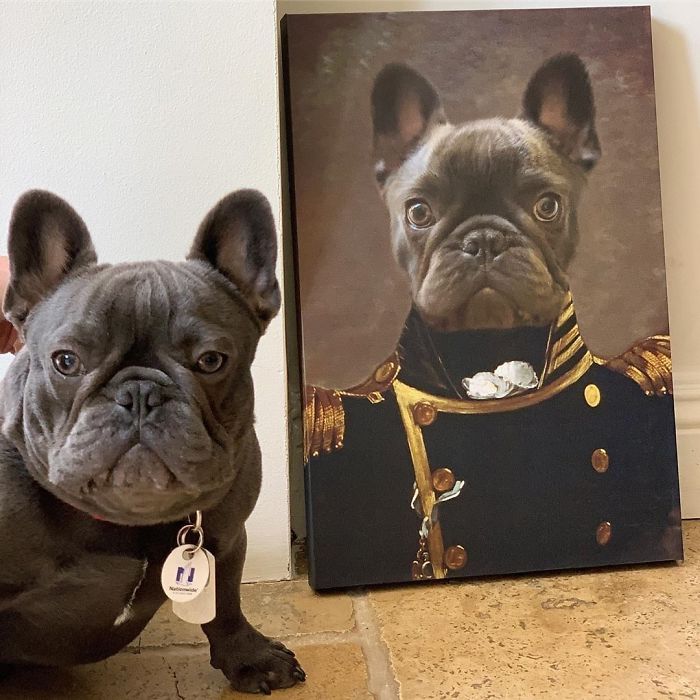 Custom Pet Portrait