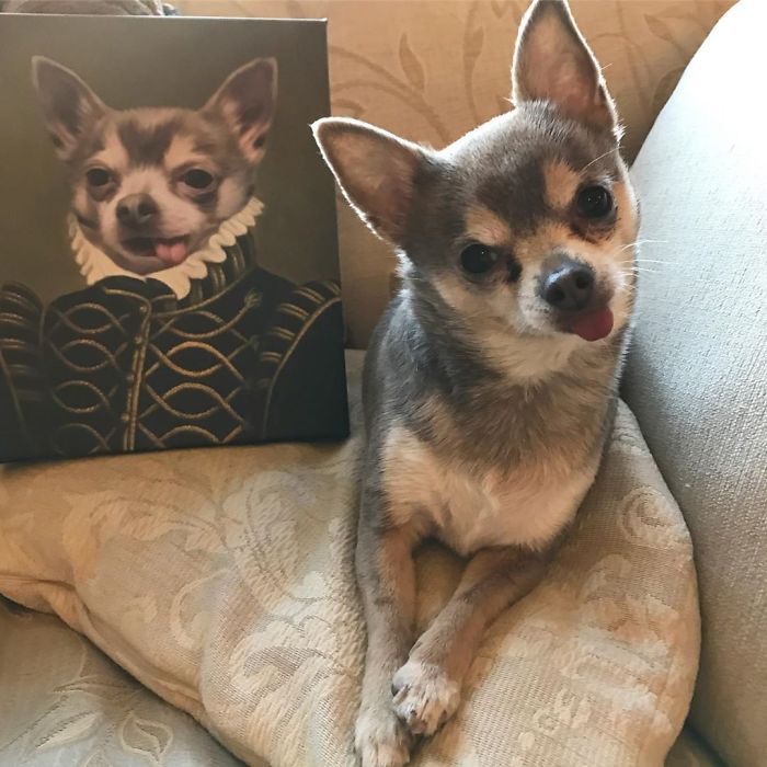 Custom Pet Portrait