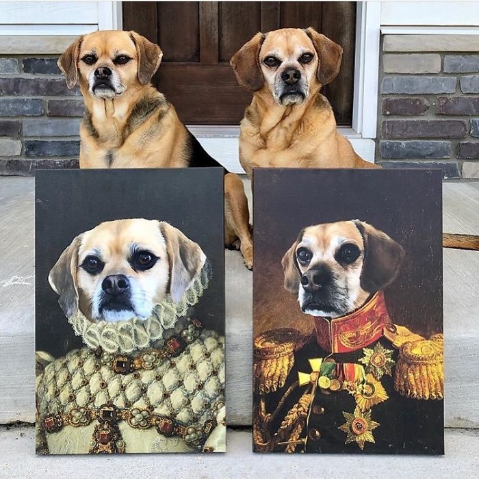 Custom Pet Portrait