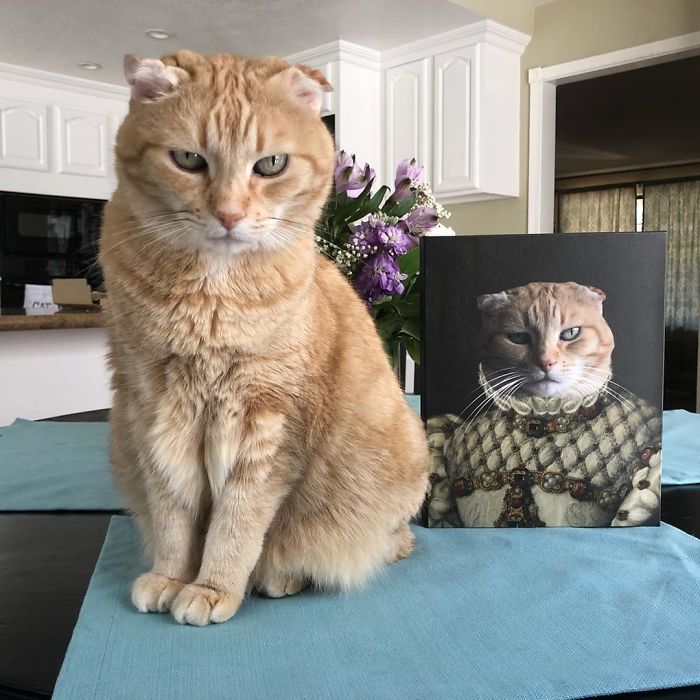 Custom Pet Portrait