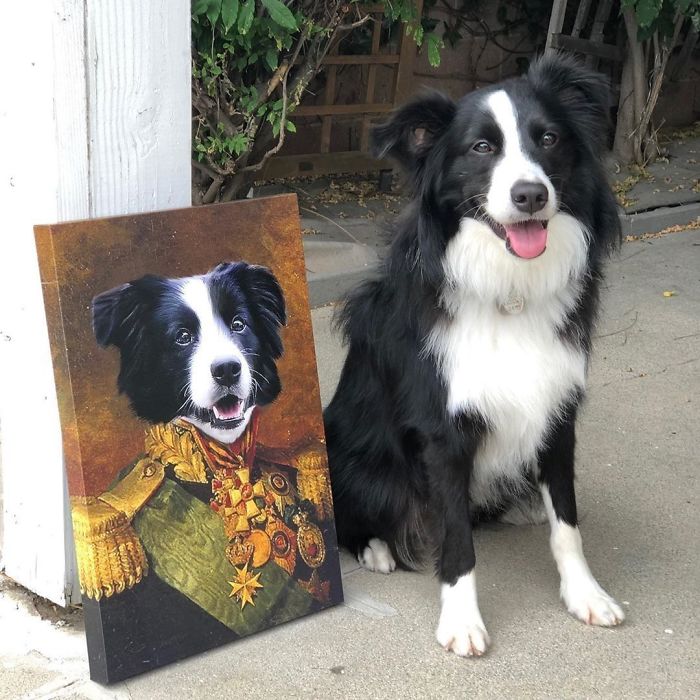 Custom Pet Portrait