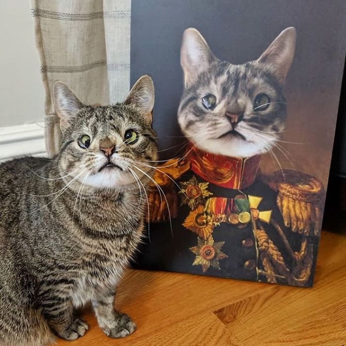 Custom Pet Portrait