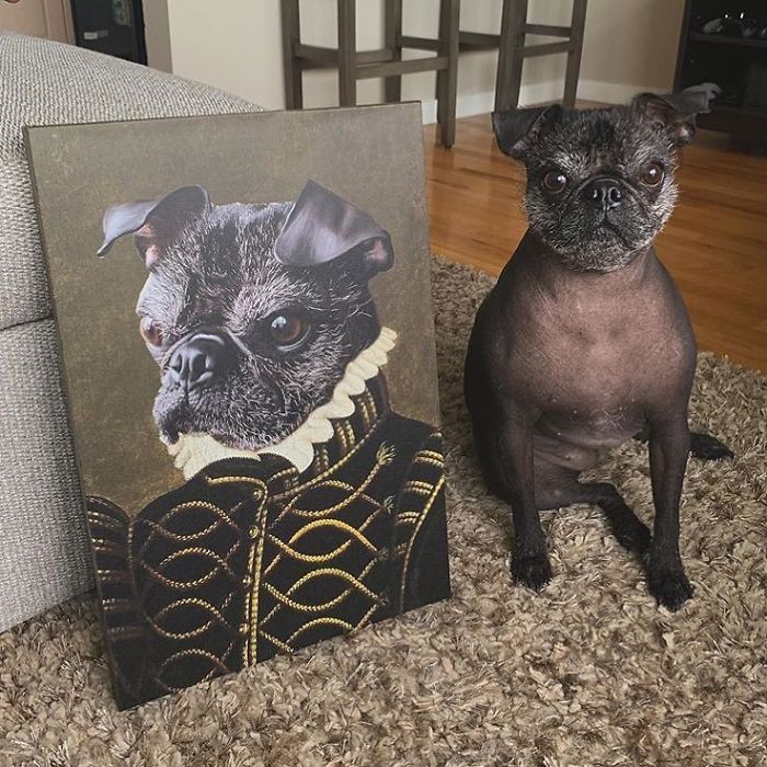 Custom Pet Portrait