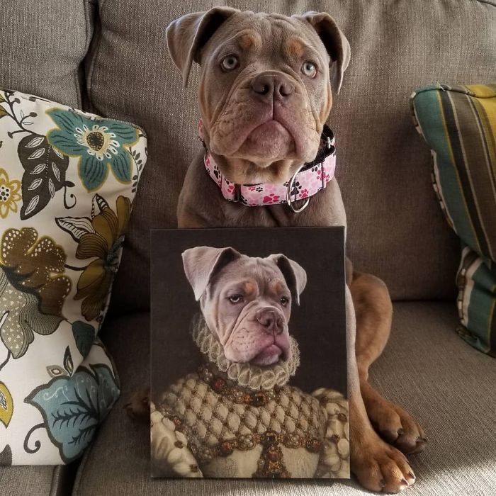 Custom Pet Portrait