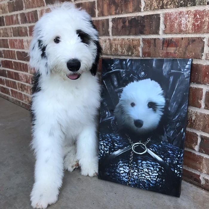 Custom Pet Portrait