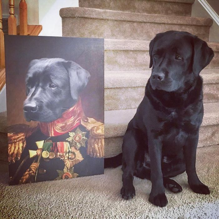 Custom Pet Portrait