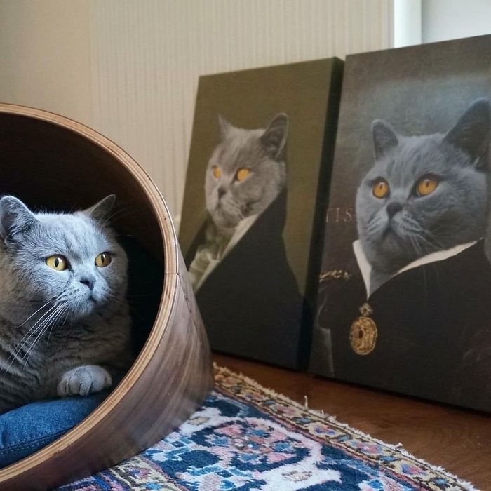 Custom Pet Portrait