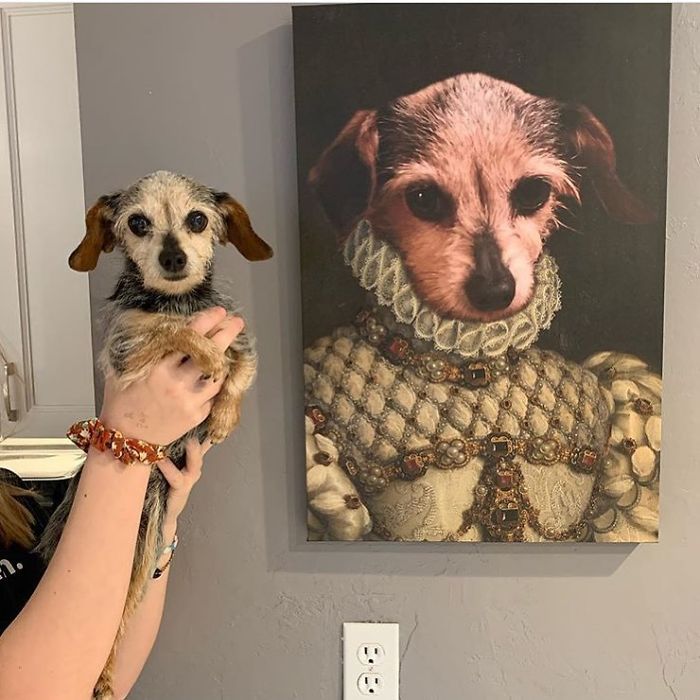 Custom Pet Portrait