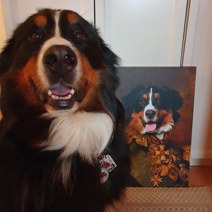 Custom Pet Portrait