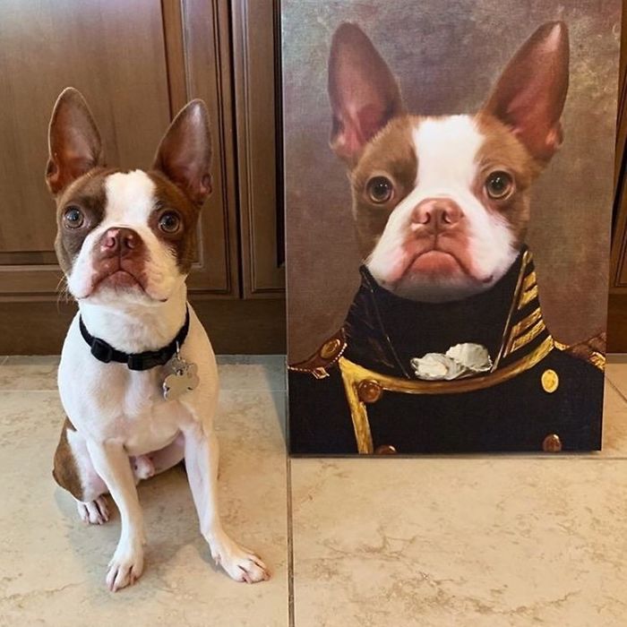 Custom Pet Portrait