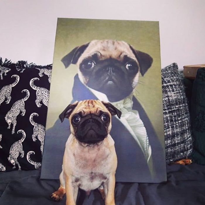 Custom Pet Portrait
