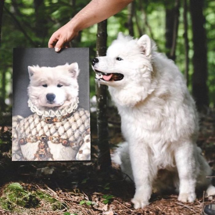 Custom Pet Portrait