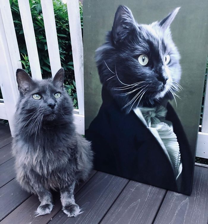 Custom Pet Portrait