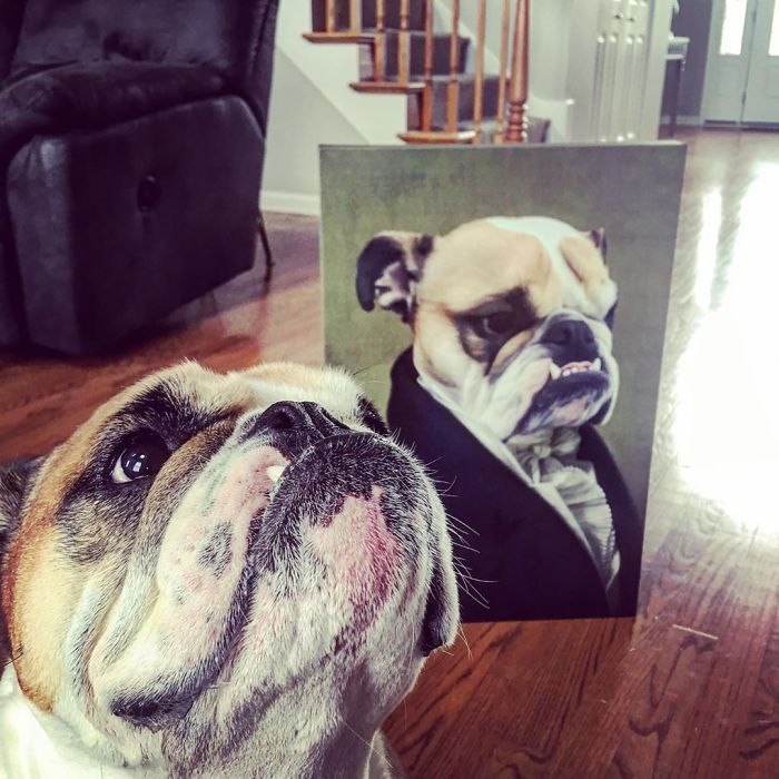 Custom Pet Portrait
