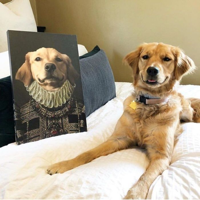 Custom Pet Portrait