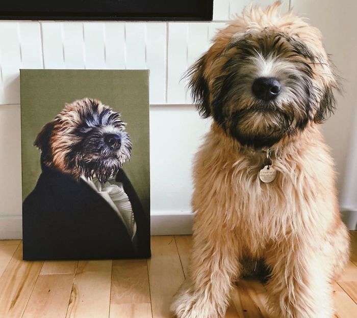 Custom Pet Portrait