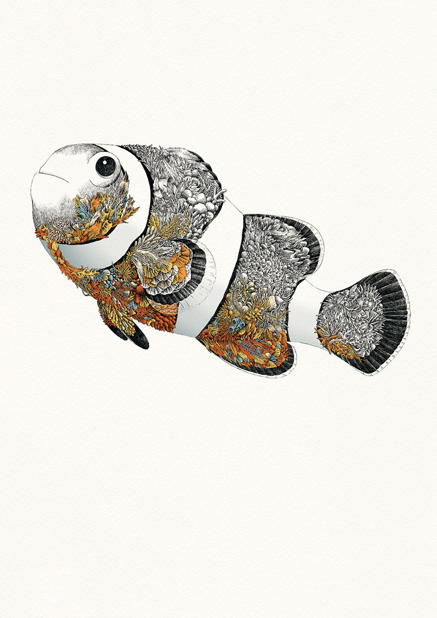 I Draw Illustrations To Support The Conservation Of The Great Barrier Reef (8 Pics) I Draw Illustrations To Support The Conservation Of The Great Barrier Reef (8 Pics)