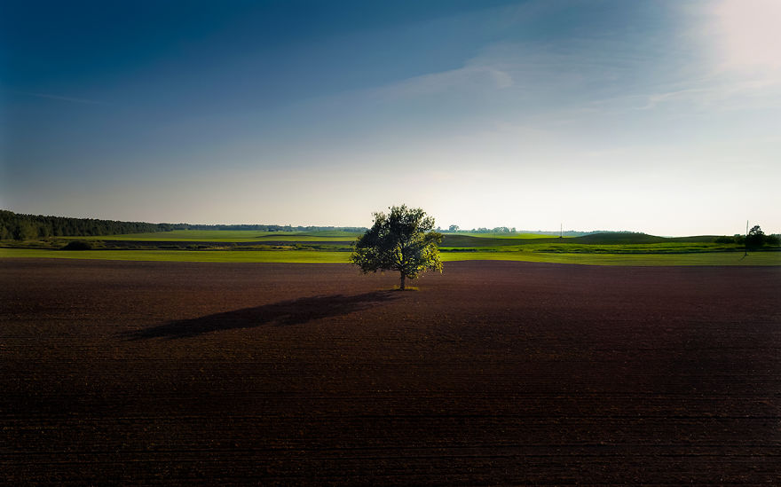 I Photographed Landscapes And Animals Of Lithuania Using A Drone