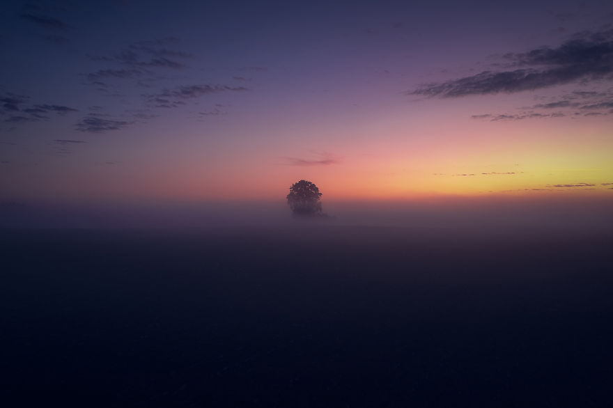 I Photographed Landscapes And Animals Of Lithuania Using A Drone