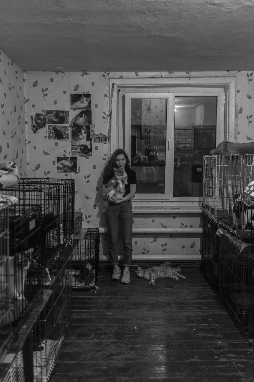 I Capture A Heartbreaking Story About A Woman That Dedicated Her Life To Stray Cats Despite Her Own Hardships I Capture A Heartbreaking Story About A Woman That Dedicated Her Life To Stray Cats Despite Her Own Hardships