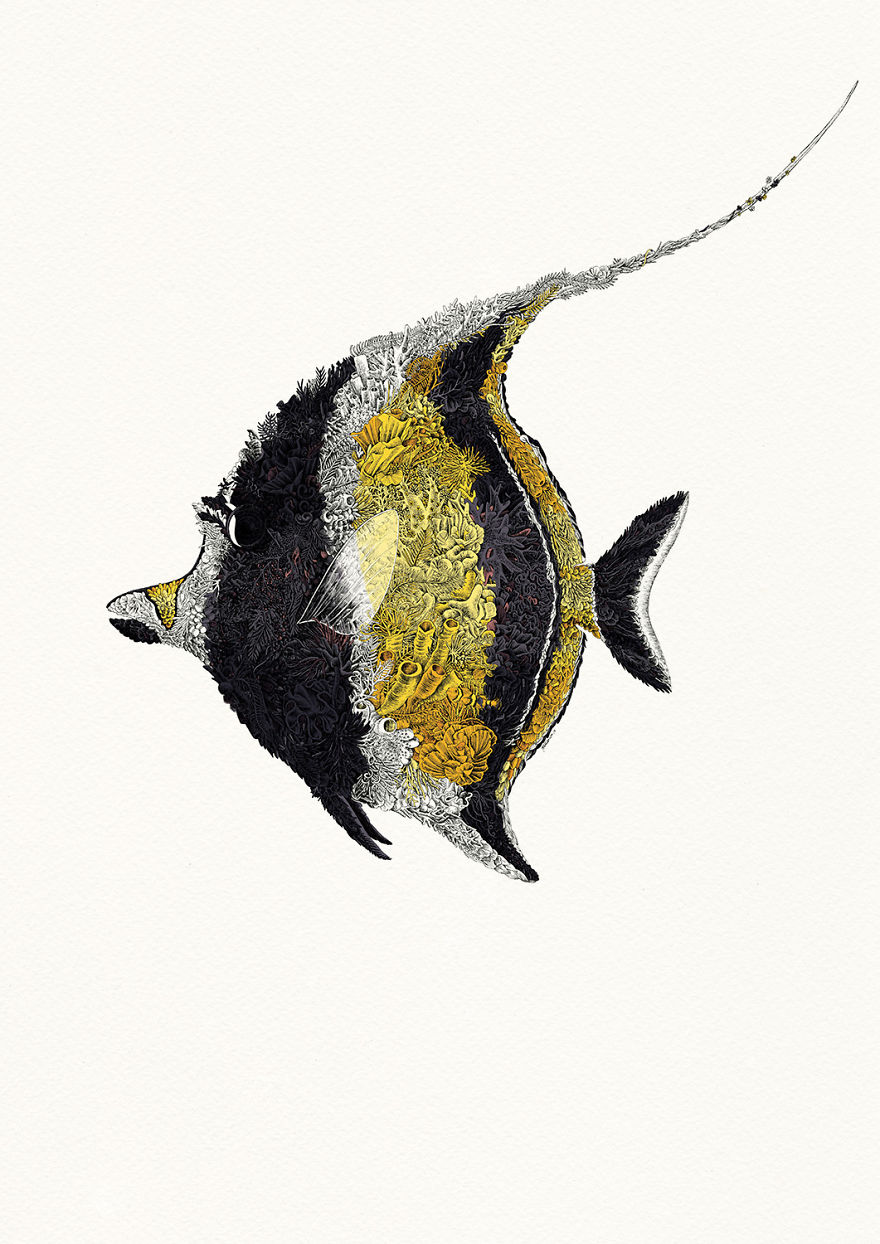 I Draw Illustrations To Support The Conservation Of The Great Barrier Reef (8 Pics) I Draw Illustrations To Support The Conservation Of The Great Barrier Reef (8 Pics)