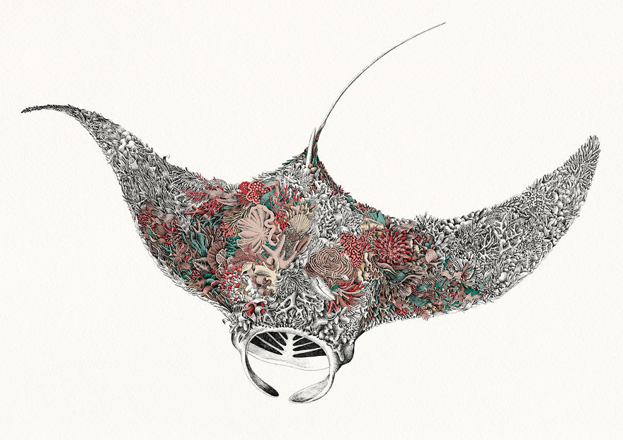 I Draw Illustrations To Support The Conservation Of The Great Barrier Reef (8 Pics) I Draw Illustrations To Support The Conservation Of The Great Barrier Reef (8 Pics)