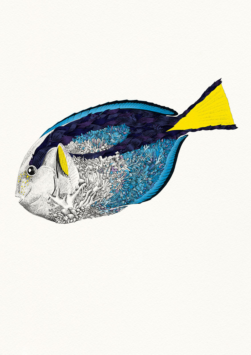 I Draw Illustrations To Support The Conservation Of The Great Barrier Reef (8 Pics) I Draw Illustrations To Support The Conservation Of The Great Barrier Reef (8 Pics)